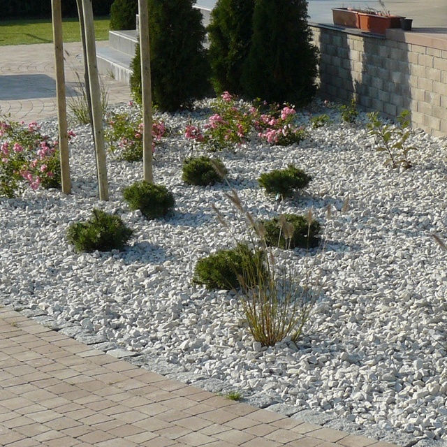 Realizacja ogrodu Bydgoszcz - obrzeże z kostki granitowej w ogrodzie.